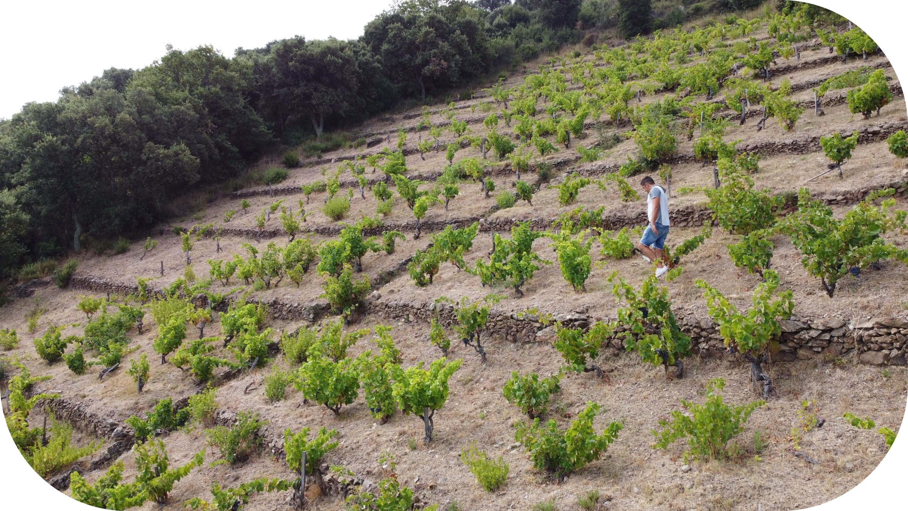 Casot des Mailloles, Fr – À boire debout