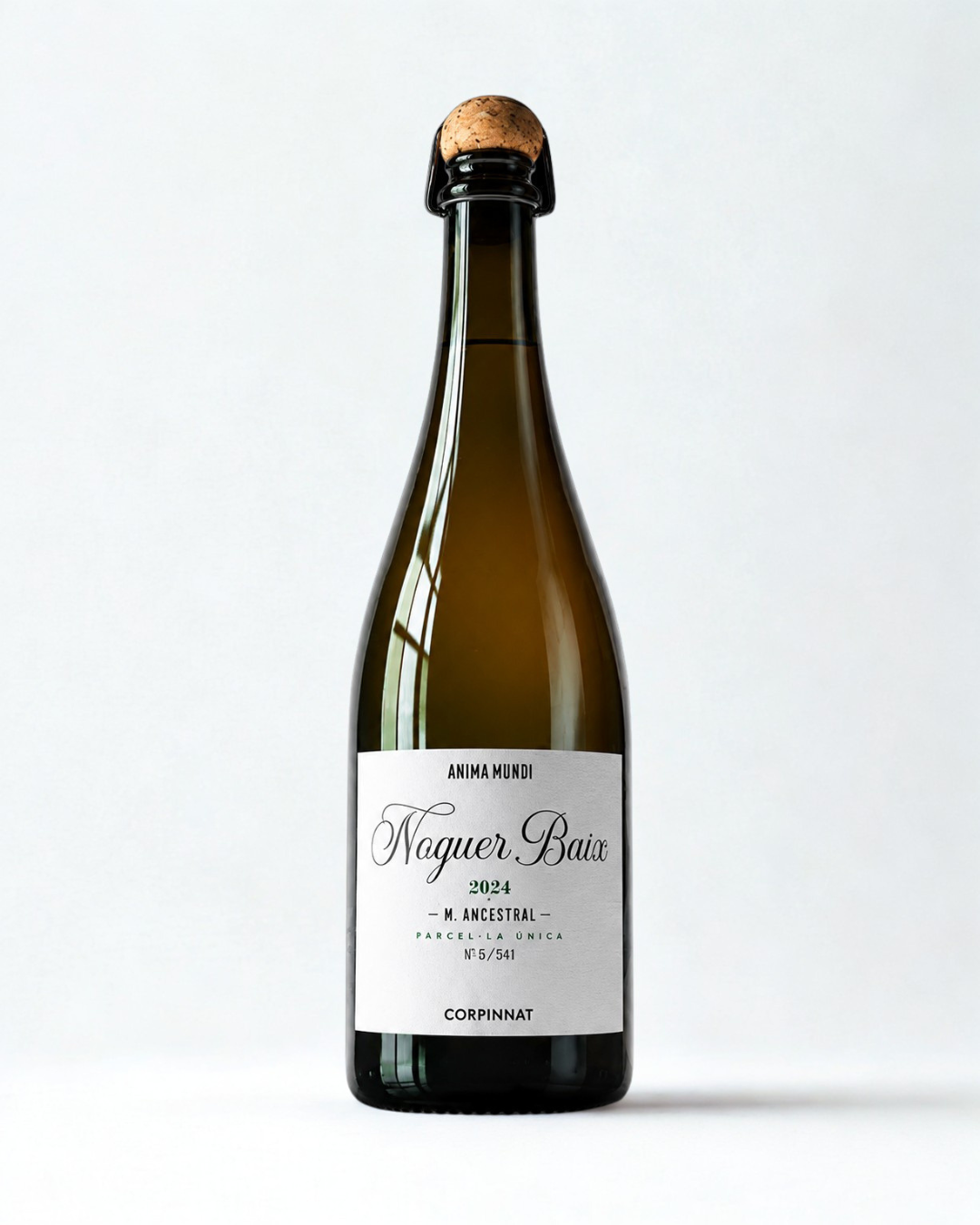 Noguer Baix 2024