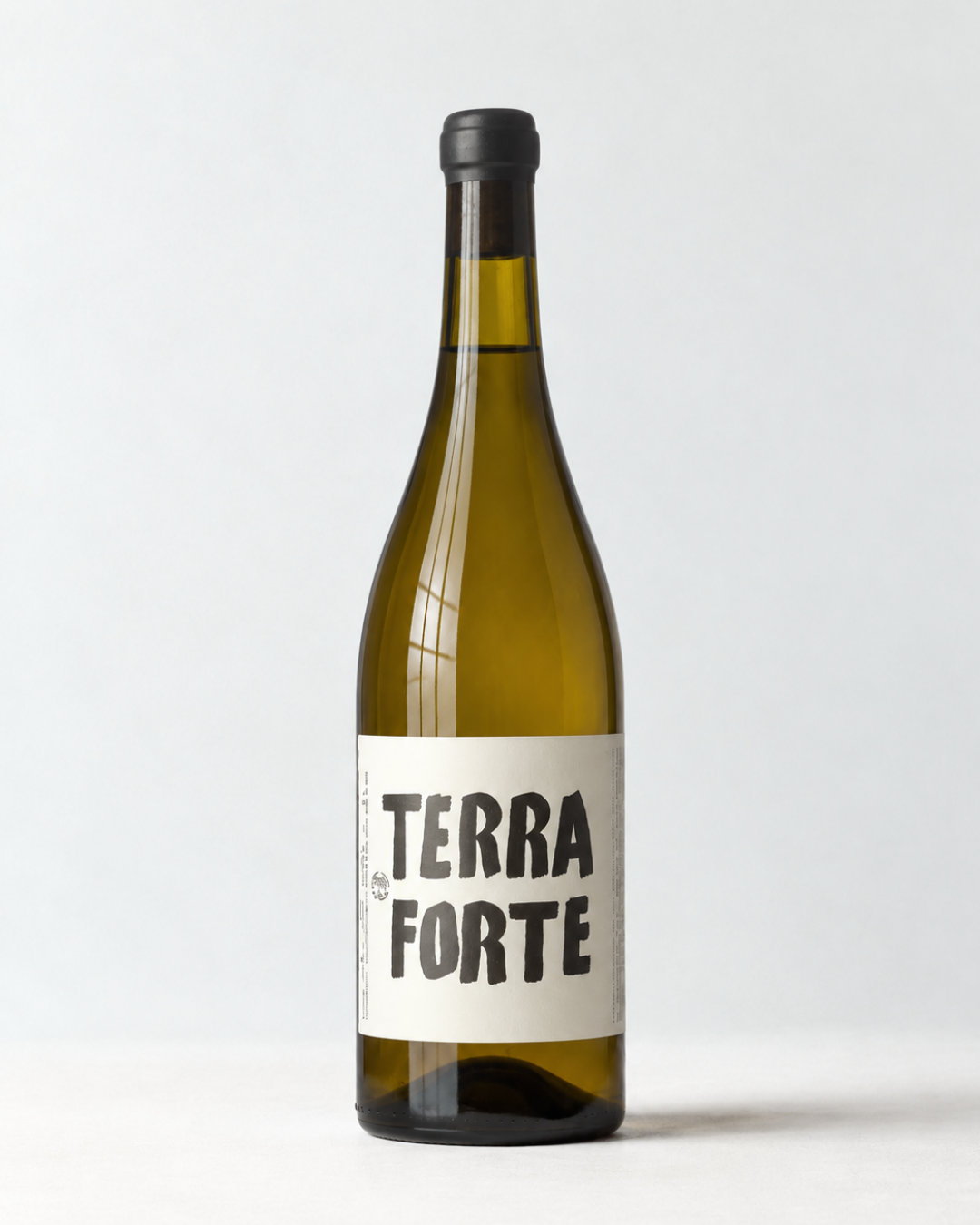 Terra Forte 2025